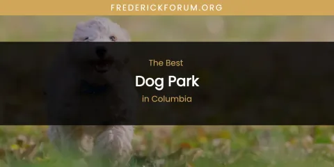 The Absolute Best Dog Park in Columbia