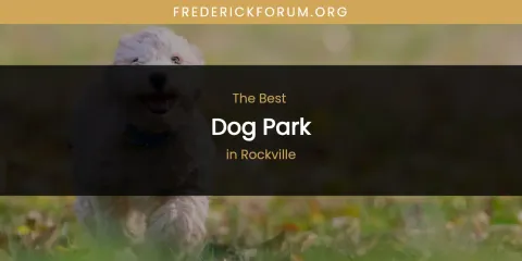 Rockville's Best Dog Park