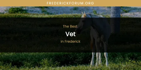 Best Vet in Frederick: Complete Guide